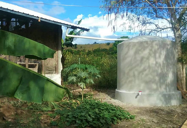 Mercy Focus on Haiti rainwater harvesting