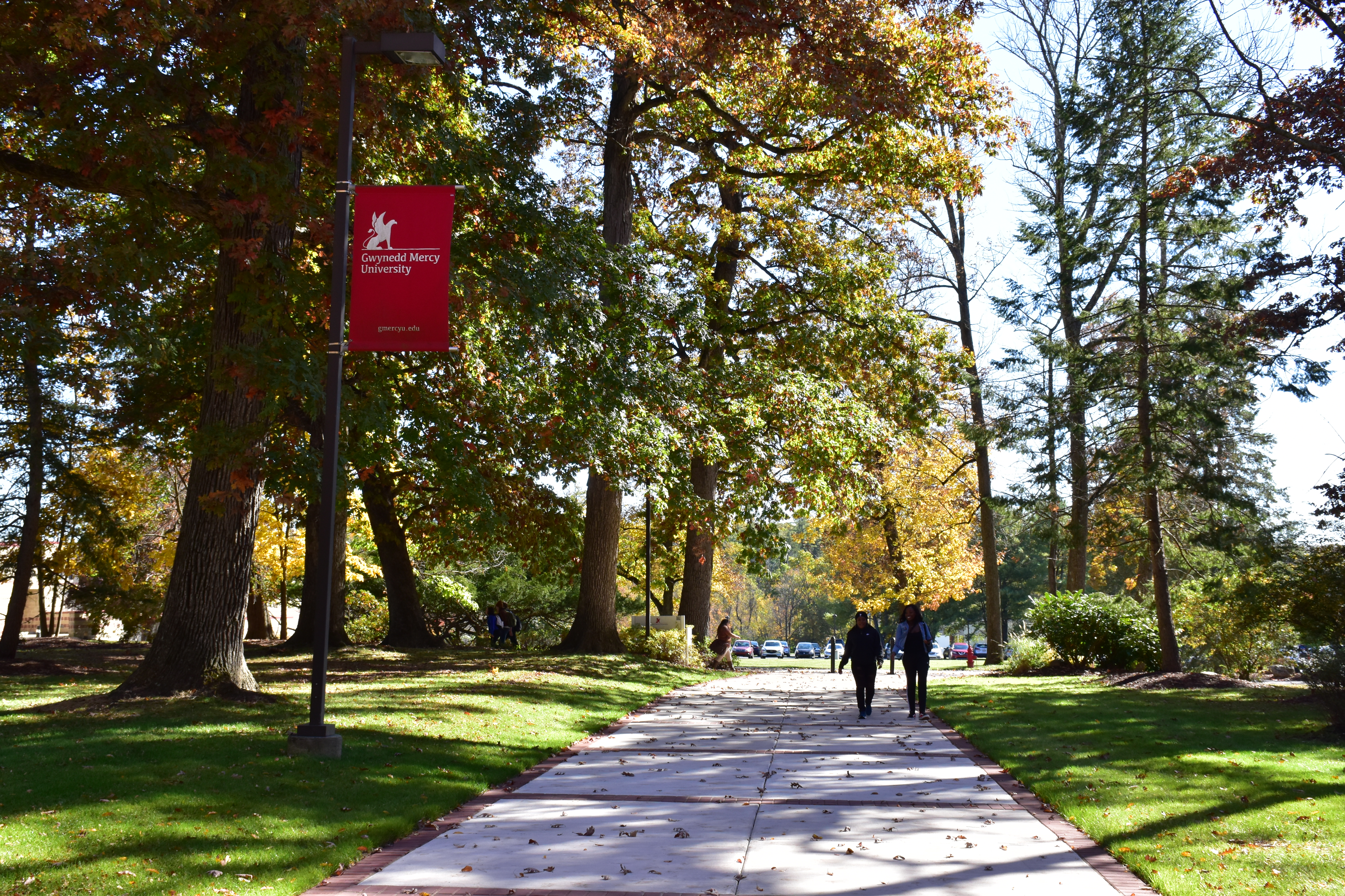 Main Campus Undergraduate